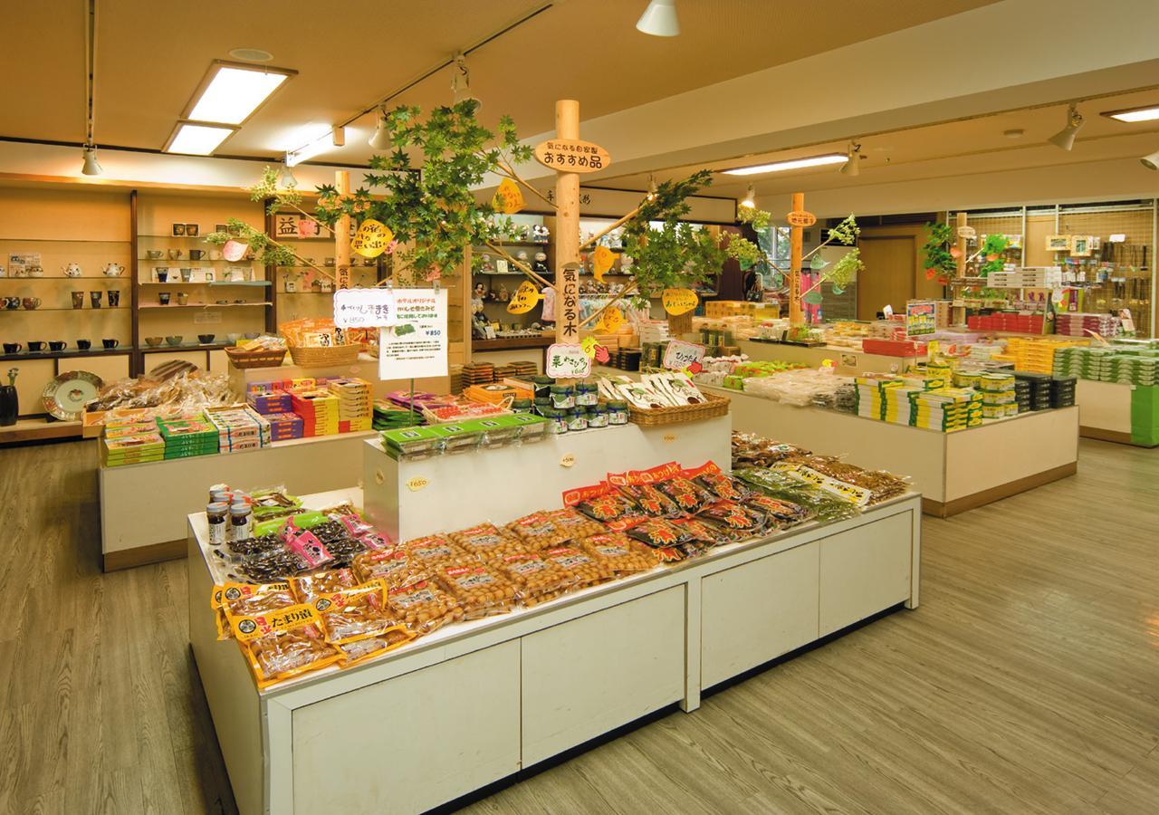 Kinugawa Park Hotels Нікко Екстер'єр фото