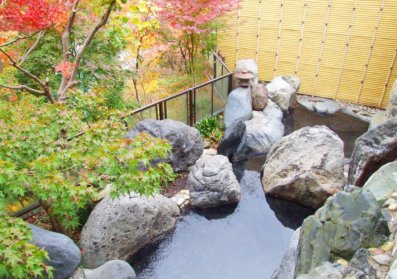 Kinugawa Park Hotels Нікко Екстер'єр фото